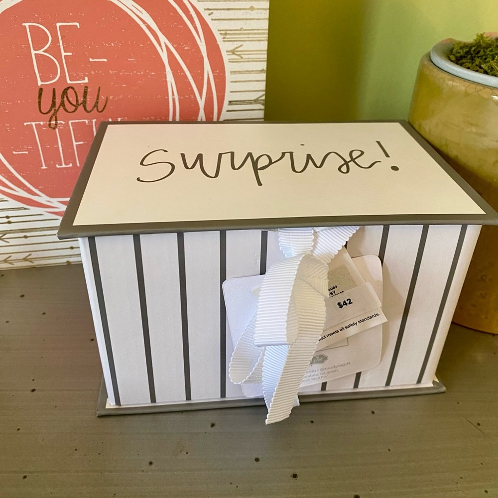 Mud Pie Gray and White Surprise Box